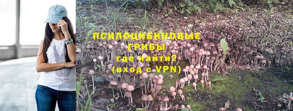 Альфа ПВП Заволжск