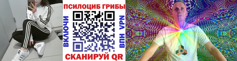 Купить  Советск  Галлюциногенные грибы мухоморы 